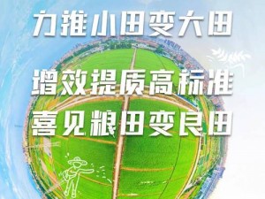 大地资源免费视频怎么观看？哪里可以找到大地资源免费视频？大地资源免费视频观看的方法有哪些？