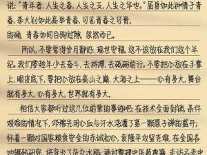 关于青春敘曲的安装与配置详解：全新体验指南