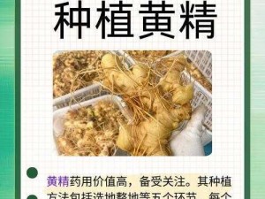 国精产品一二三产区【如何划分国精产品一二三产区？】