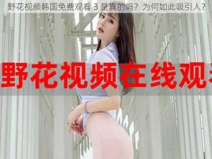 野花视频韩国免费观看 3 是真的吗？为何如此吸引人？