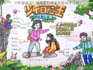 少年冒险王：快速提升等级的秘诀大公开