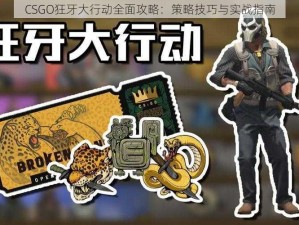 CSGO狂牙大行动全面攻略：策略技巧与实战指南