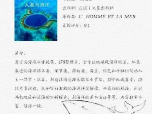 探秘大海贼岛：游戏问题与心得大揭秘