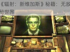 探索《辐射：新维加斯》秘籍：无敌状态的神秘世界