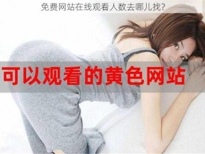 免费网站在线观看人数去哪儿找？