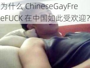 为什么 ChineseGayFreeFUCK 在中国如此受欢迎？