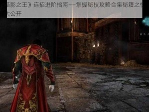 《恶魔城：暗影之王》连招进阶指南——掌握秘技攻略合集秘籍之快速升级和实战操作秘籍大公开