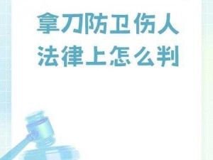 正当防卫2武器升级解析：深度探讨武器系统升级机制与策略优化之道