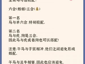 马是怎么和人交流配种的？为什么要了解这个问题？如何正确进行马的配种？