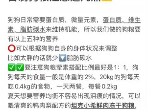 狗狗吃狗粮小技巧：让狗狗健康成长的秘密武器