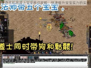 热血传奇手机版道士宝宝养成攻略：快速提升宝宝实力的实用技巧