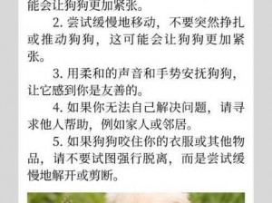 狗狗的东西卡在身体里怎么办？为什么会发生这种情况？如何处理？