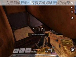 关于烈焰行动：深度解析爆破玩法的介绍