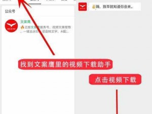 com 上的视频怎么下载？