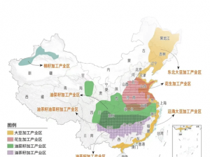 麻豆产精品一二三产区区，如何选择适合自己的产区？