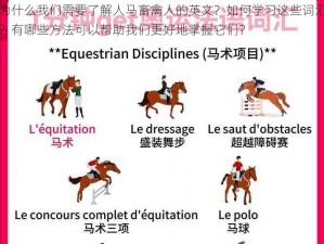 为什么我们需要了解人马畜禽人的英文？如何学习这些词汇？有哪些方法可以帮助我们更好地掌握它们？