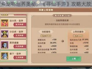 探索宠物培养奥秘，《寻仙手游》攻略大放送