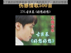 真的受不了真的好想要歌曲 受不了真的受不了，真的好想要那首歌曲