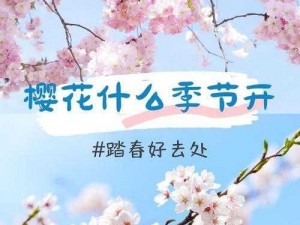 樱花官网官方进入(如何进入樱花官网官方网站？)