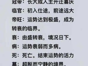 最近 2018 年的中字文墓为什么这么火？如何观看？有哪些资源？