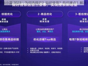 最强 G 平台小蓝 2023：为何选择它？如何使用？有何痛点？解决方案在此