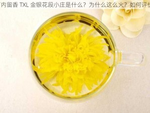 菊内留香 TXL 金银花段小庄是什么？为什么这么火？如何评价？