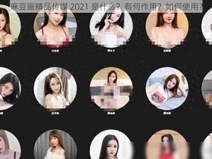 麻豆画精品传媒 2021 是什么？有何作用？如何使用？