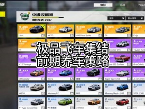 《极速风驰：极品飞车6全秘籍揭秘攻略》