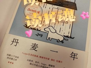 《烈火皇城：内功秘籍现世，揭开神秘面纱》