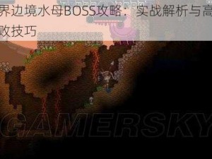 星界边境水母BOSS攻略：实战解析与高效击败技巧