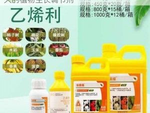 丰年经继拇最简单处理——安全、高效、持久的植物生长调节剂