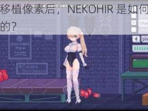 桃子移植像素后，NEKOHIR 是如何解决痛点的？