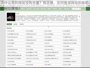 我去操，为什么我的网站没有流量？我去操，如何提高网站的排名？我去操，怎样让我的网站赚钱？