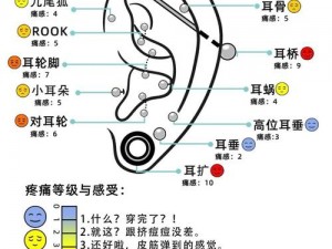 为什么打耳洞时会疼？如何缓解这种疼痛？乖乖张大点就不疼了