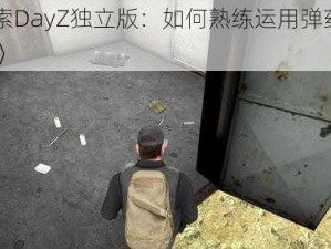 《探索DayZ独立版：如何熟练运用弹药盒功能？》