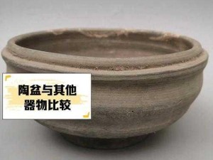 探究古弥新舞蹈陶盆强度测评，揭秘历史文化的新视角