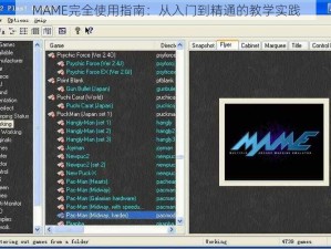 MAME完全使用指南：从入门到精通的教学实践