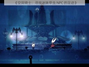 《空洞骑士：寻找迷妹甲虫 NPC 的足迹》