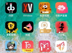 xvideos 怎么看？在国内如何观看 xvideos？