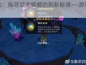 创造与魔法：探寻顽皮蝾螈的刷新秘境——游戏内外的魔法之旅