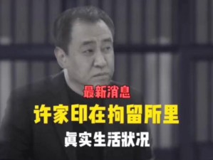 为什么许家印的帝王生活小说如此引人入胜？