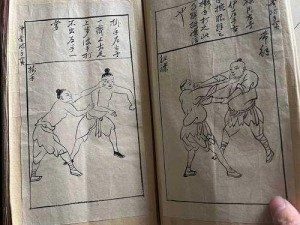 探寻武林秘籍：峨眉派武学玩法大揭秘