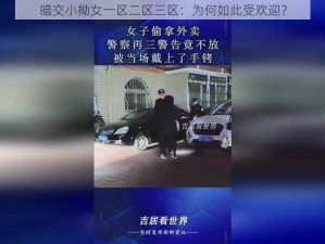 暗交小拗女一区二区三区：为何如此受欢迎？