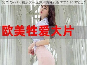 欧美 OV 成人精品区一本婷：为什么看不了？如何解决？