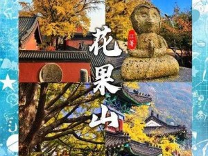 花果山装 x 指南：如何在花果山中脱颖而出？