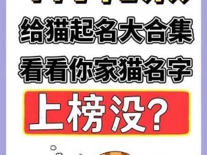 176 是什么？为什么很多人都在找它？