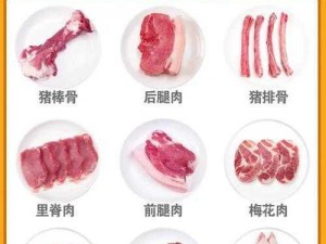 起点三大肉器分别是谁_起点三大肉器是哪三本书？