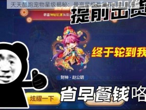 天天酷跑宠物星级揭秘：最高星级数量探寻与展示