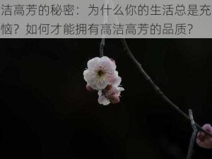 高洁高芳的秘密：为什么你的生活总是充满烦恼？如何才能拥有高洁高芳的品质？