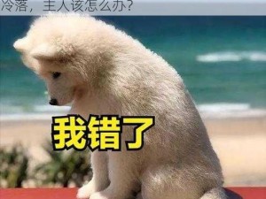 主人我错了，能不能别不理我？狗狗犯错被冷落，主人该怎么办？